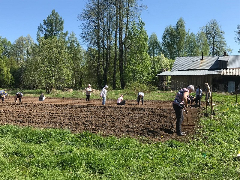 Работа на пришкольном участке.